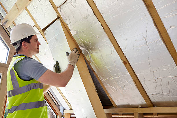 Best Insulation Maintenance and Repair in Highland Acres, DE