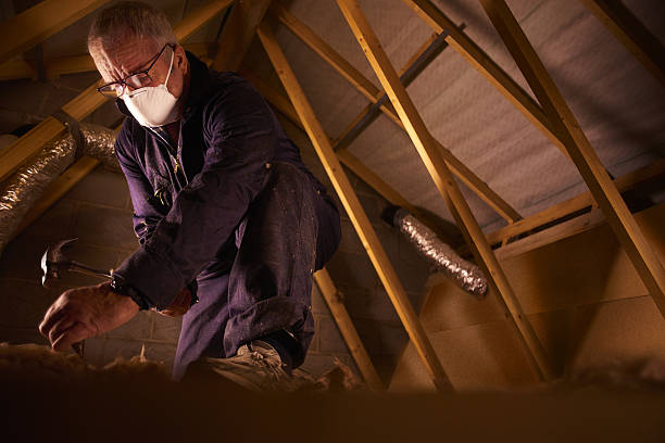 Best Cellulose Insulation in Highland Acres, DE
